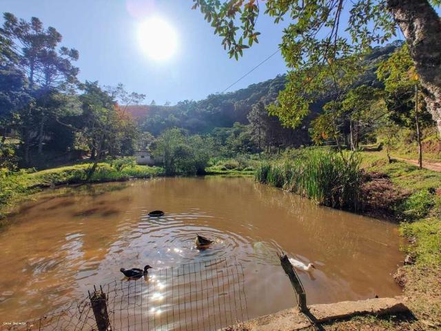 Sítio e chácara venda em Região Geográfica Imediata de Valença, Miguel Pereira