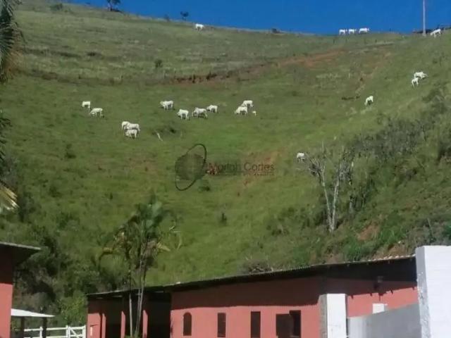 Sítio e chácara venda em Região Geográfica Imediata de Valença, Miguel Pereira