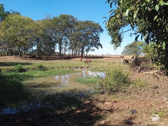 Sítio e chácara venda em Região Imediata de Ituverava, Miguelópolis