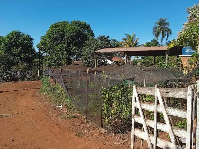 Sítio e chácara venda em Região Imediata de Ituverava, Miguelópolis