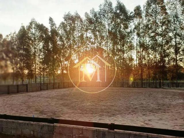 Sítio e chácara venda em Região Imediata de Ituverava, Miguelópolis