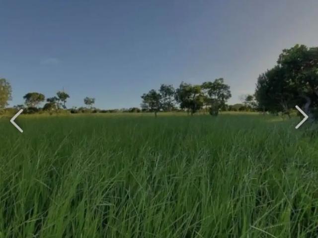 Sítio e chácara venda em Região Geográfica Imediata de Porangatu, Minaçu