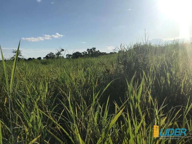 Sítio e chácara venda em Região Geográfica Imediata de Porangatu, Minaçu