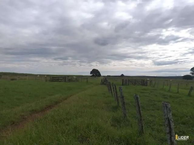 Sítio e chácara venda em Região Geográfica Imediata de Jataí-Mineiros, Mineiros