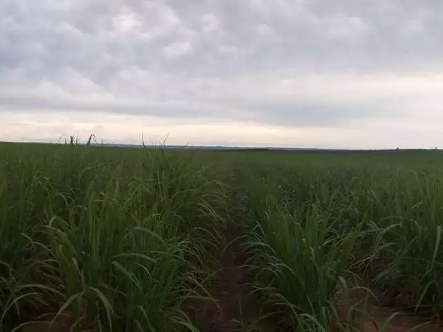 Sítio e chácara venda em Região Geográfica Imediata de Jataí-Mineiros, Mineiros