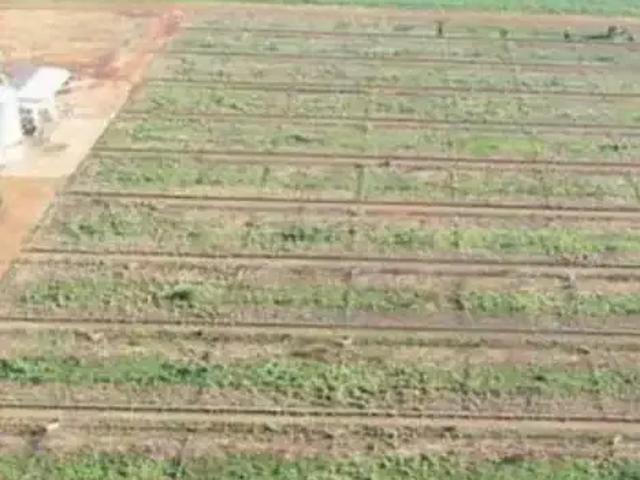 Sítio e chácara venda em Região Geográfica Imediata de Jataí-Mineiros, Mineiros