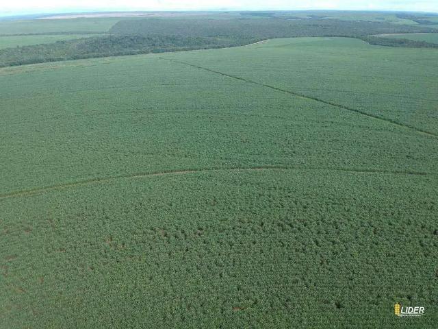Sítio e chácara venda em Região Geográfica Imediata de Jataí-Mineiros, Mineiros