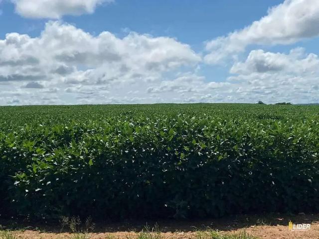 Sítio e chácara venda em Região Geográfica Imediata de Jataí-Mineiros, Mineiros