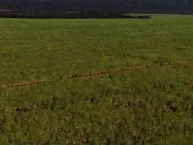 Sítio e chácara venda em Região Geográfica Imediata de Jataí-Mineiros, Mineiros