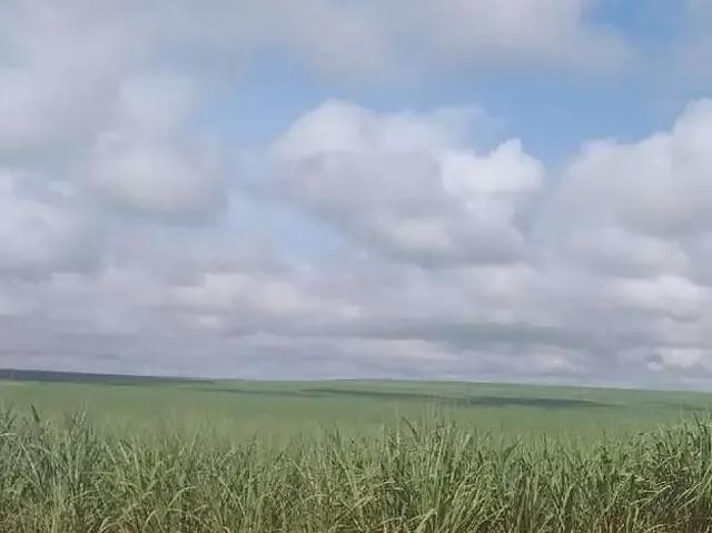 Sítio e chácara venda em Região Geográfica Imediata de Jataí-Mineiros, Mineiros