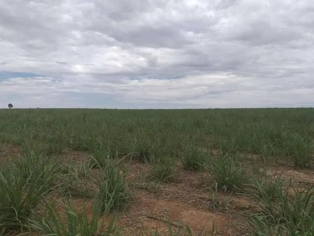 Sítio e chácara venda em Região Geográfica Imediata de Jataí-Mineiros, Mineiros