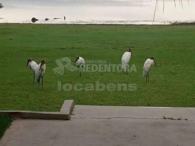 Sítio e chácara venda em Região Imediata de Fernandópolis, Mira Estrela