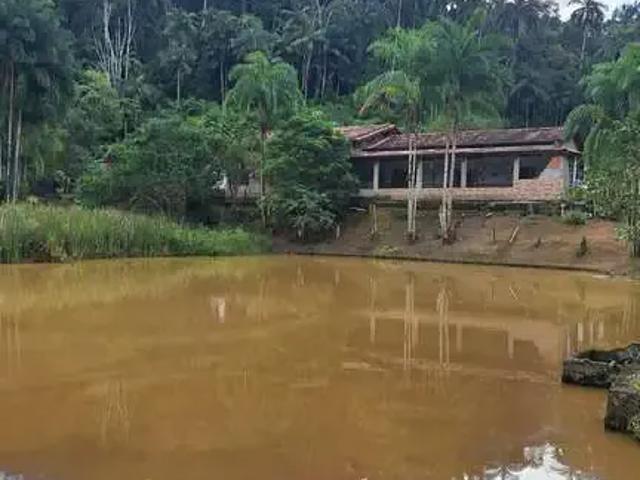 Sítio e chácara venda em Região Imediata de Registro, Miracatu