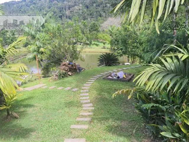 Sítio e chácara venda em Miracatu