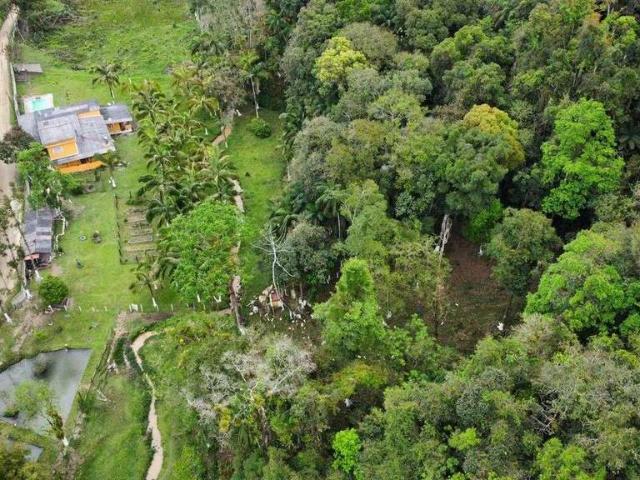 Sítio e chácara venda em Região Imediata de Registro, Miracatu