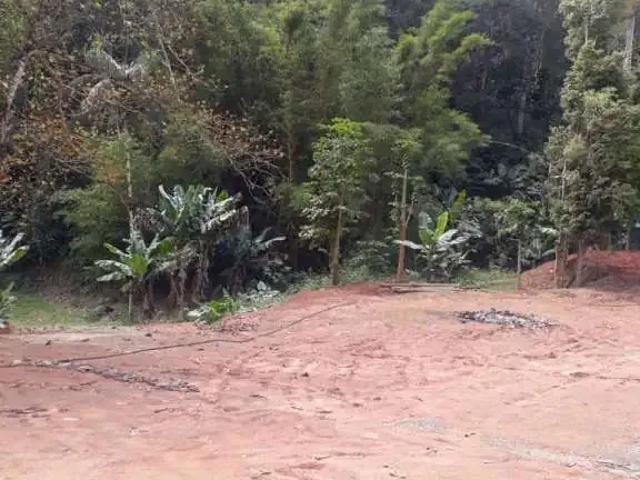 Sítio e chácara venda em Região Imediata de Registro, Miracatu