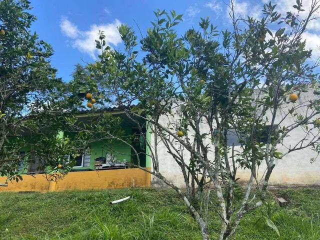 Sítio e chácara venda em Miracatu