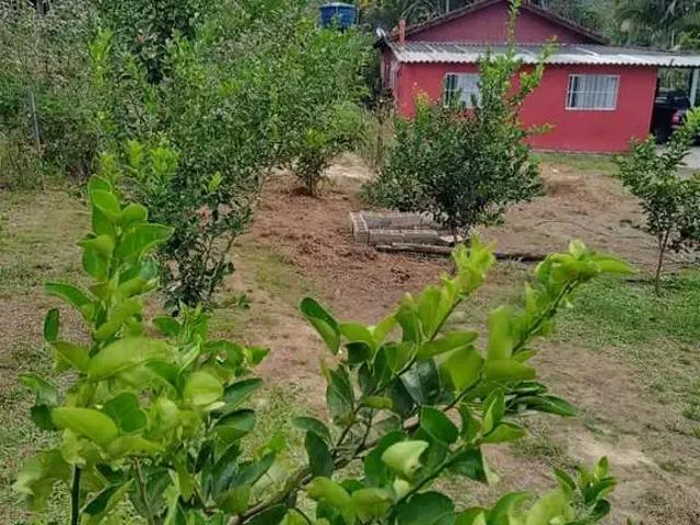 Sítio e chácara venda em Miracatu