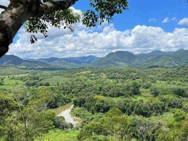 Sítio e chácara venda em Santa Rita de Cassia, Miracatu