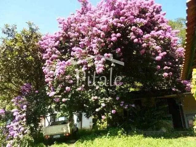Sítio e chácara venda em Santa Rita do Ribeira, Miracatu