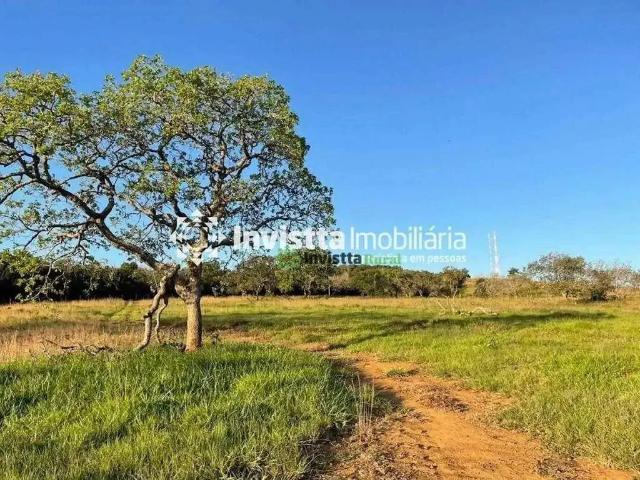 Sítio e chácara venda em Miranorte, Região Norte