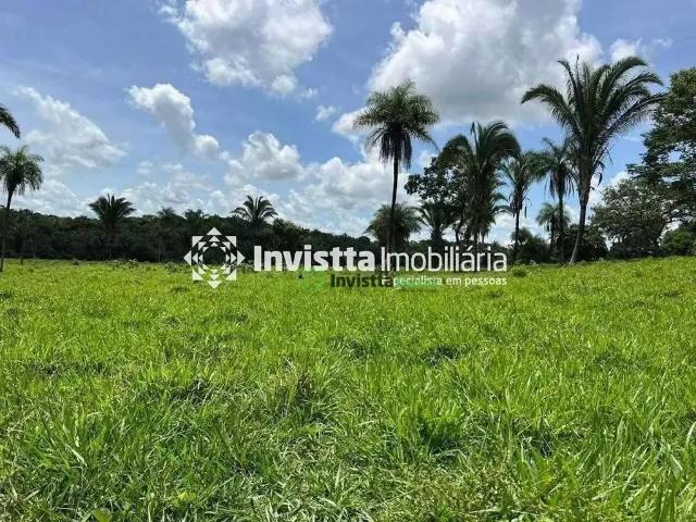 Sítio e chácara venda em Miranorte, Região Norte