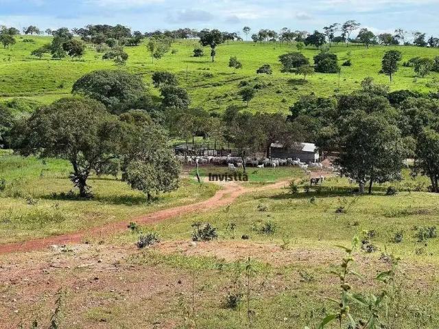 Sítio e chácara venda em Miranorte, Região Norte