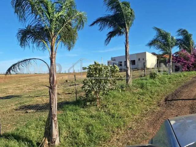 Sítio e chácara venda em Região Imediata de Presidente Prudente, Mirante do Paranapanema