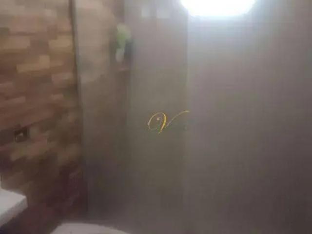 Sítio e chácara venda em Mirassol