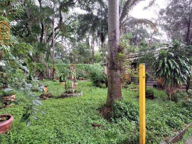 Sítio e chácara venda em Região Imediata de São José do Rio Preto, Região Metropolitana de São José do Rio Preto