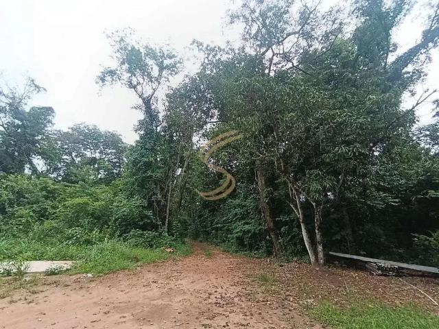 Sítio e chácara venda em Região Imediata de São José do Rio Pardo-Mococa, Região Metropolitana de Ribeirão Preto