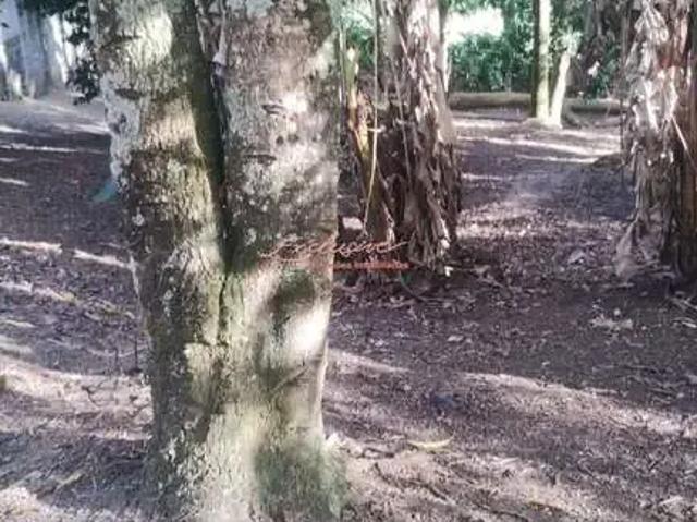Sítio e chácara venda em Vila Vitória, Mogi das Cruzes