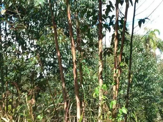 Sítio e chácara venda em Região Imediata de São Paulo, Região Metropolitana de São Paulo
