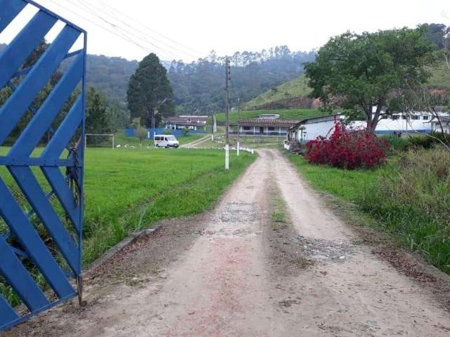 Sítio e chácara venda em Pindorama, Região Imediata de São Paulo