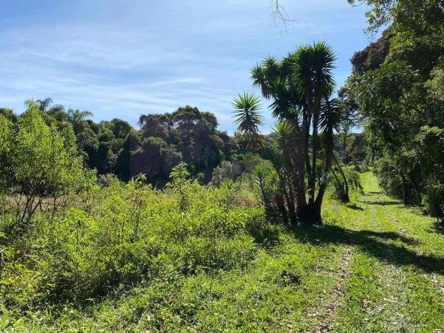 Sítio e chácara venda em Região Imediata de São Paulo, Região Metropolitana de São Paulo