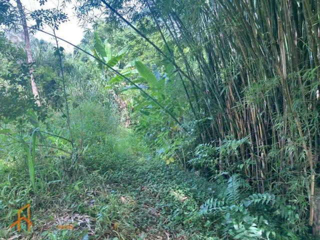 Sítio e chácara venda em Região Imediata de São Paulo, Região Metropolitana de São Paulo