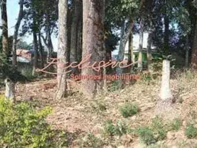Sítio e chácara venda em Vila Vitória, Mogi das Cruzes