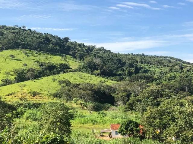 Sítio e chácara venda em Vila Paraíso, Mogi Guaçu