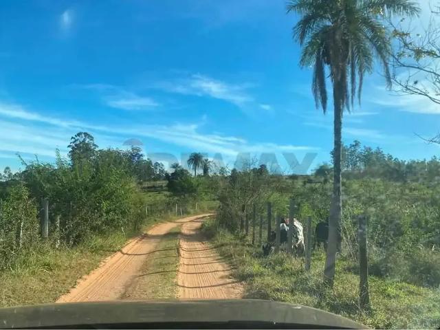 Sítio e chácara venda em Região Imediata de Mogi Guaçu, Mogi Guaçu