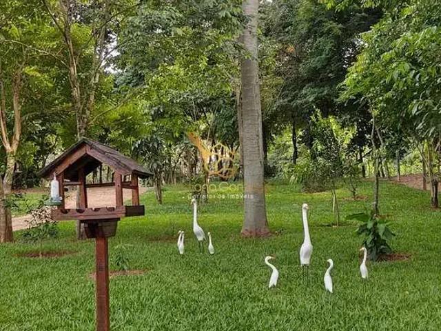 Sítio e chácara venda em Região Imediata de Ribeirão Preto, Região Metropolitana de Ribeirão Preto