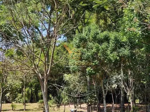 Sítio e chácara venda em Região Imediata de Ribeirão Preto, Região Metropolitana de Ribeirão Preto