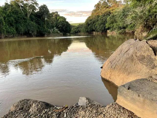 Sítio e chácara venda em Região Imediata de Mogi Guaçu, Região Sudeste