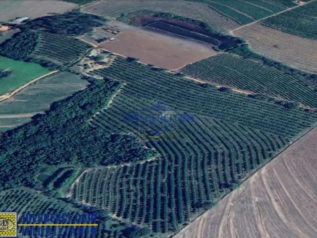 Sítio e chácara venda em Região Imediata de Mogi Guaçu, Região Sudeste