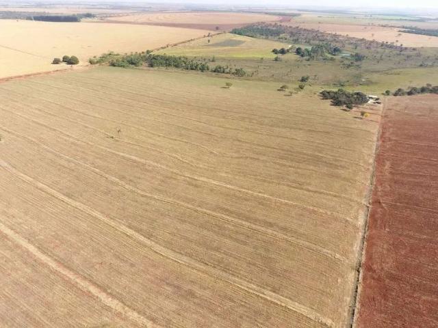 Sítio e chácara venda em Monte Alegre de Minas, Região Geográfica Intermediária de Uberlândia
