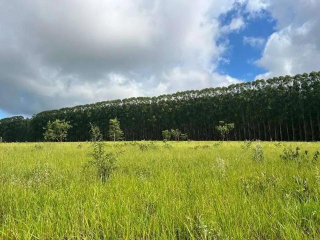 Sítio e chácara venda em Região Geográfica Imediata de Uberlândia, Monte Alegre de Minas