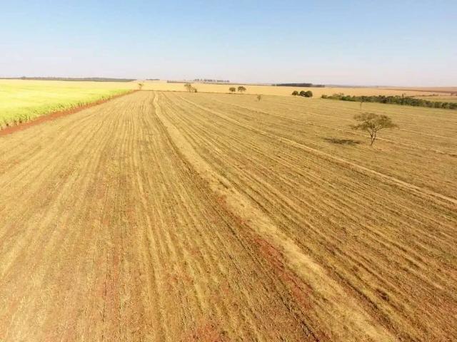 Sítio e chácara venda em Região Geográfica Imediata de Uberlândia, Monte Alegre de Minas