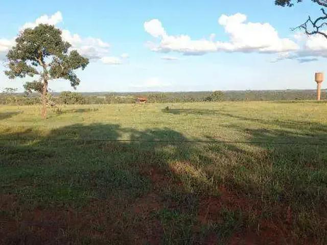 Sítio e chácara venda em Região Geográfica Imediata de Uberlândia, Monte Alegre de Minas