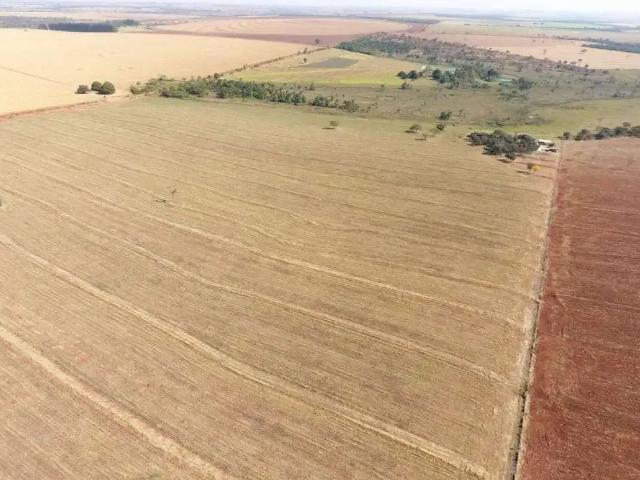 Sítio e chácara venda em Região Geográfica Imediata de Uberlândia, Monte Alegre de Minas