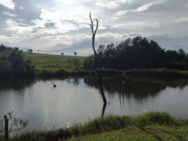Sítio e chácara venda em Região Geográfica Imediata de Uberlândia, Monte Alegre de Minas