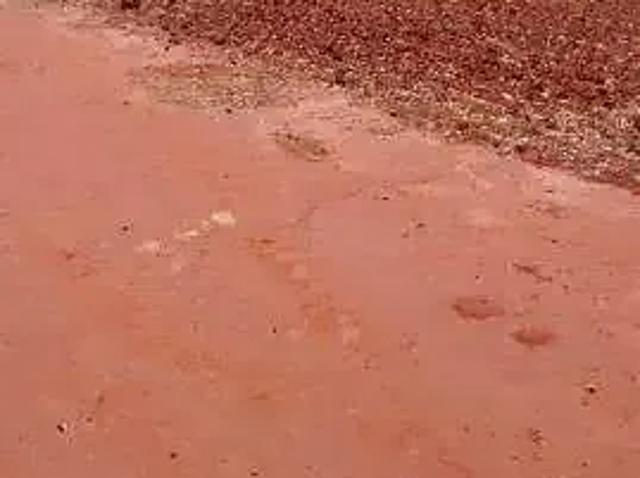 Sítio e chácara venda em Região Geográfica Imediata de Uberlândia, Monte Alegre de Minas